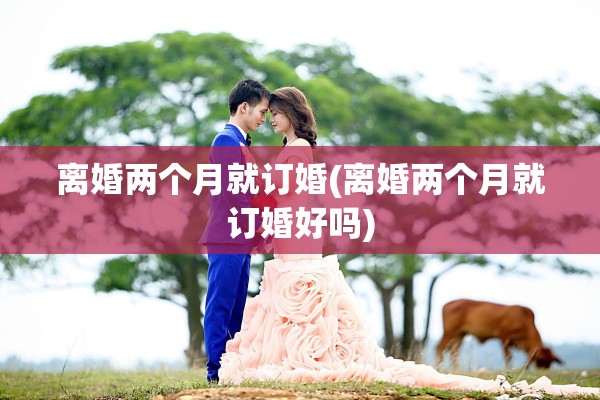 离婚两个月就订婚(离婚两个月就订婚好吗)
