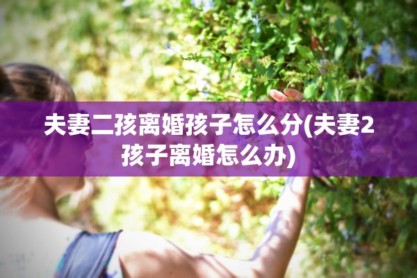 夫妻二孩离婚孩子怎么分(夫妻2孩子离婚怎么办)