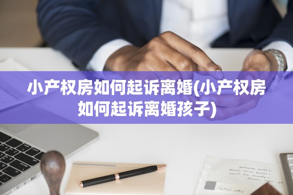 小产权房如何起诉离婚(小产权房如何起诉离婚孩子)