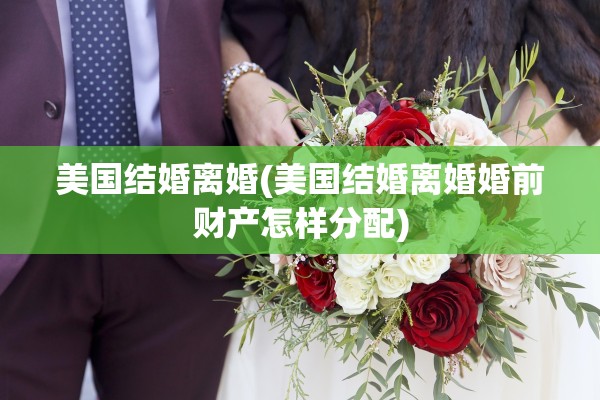 美国结婚离婚(美国结婚离婚婚前财产怎样分配)