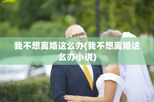 我不想离婚这么办(我不想离婚这么办小说)