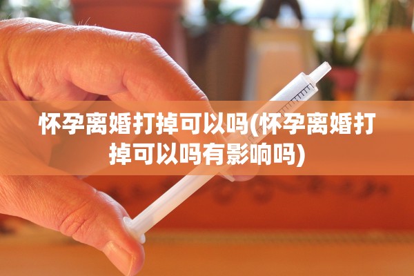 怀孕离婚打掉可以吗(怀孕离婚打掉可以吗有影响吗)