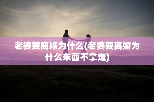 老婆要离婚为什么(老婆要离婚为什么东西不拿走)