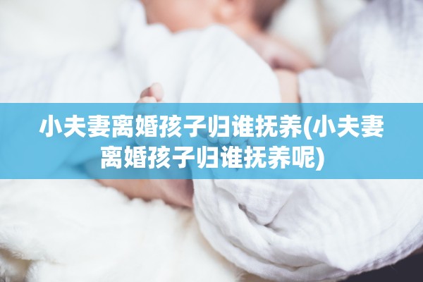 小夫妻离婚孩子归谁抚养(小夫妻离婚孩子归谁抚养呢)