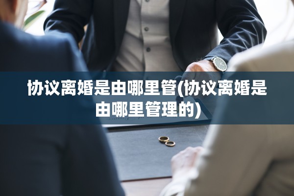 协议离婚是由哪里管(协议离婚是由哪里管理的)