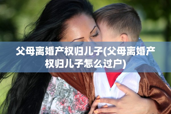 父母离婚产权归儿子(父母离婚产权归儿子怎么过户)