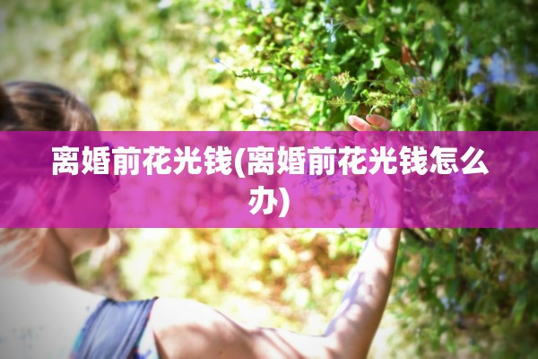 离婚前花光钱(离婚前花光钱怎么办)