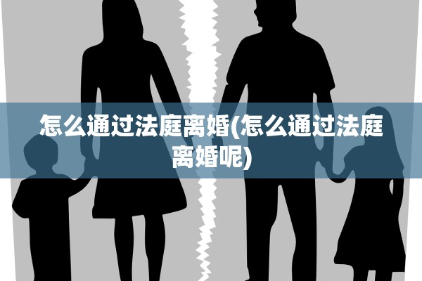 怎么通过法庭离婚(怎么通过法庭离婚呢)