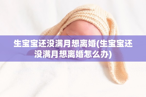 生宝宝还没满月想离婚(生宝宝还没满月想离婚怎么办)