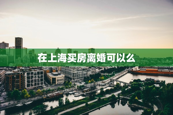 在上海买房离婚可以么