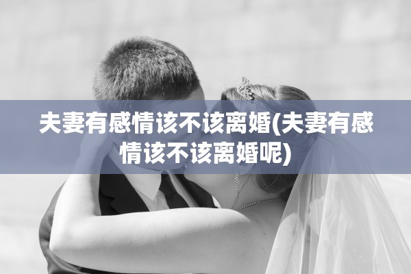 夫妻有感情该不该离婚(夫妻有感情该不该离婚呢)