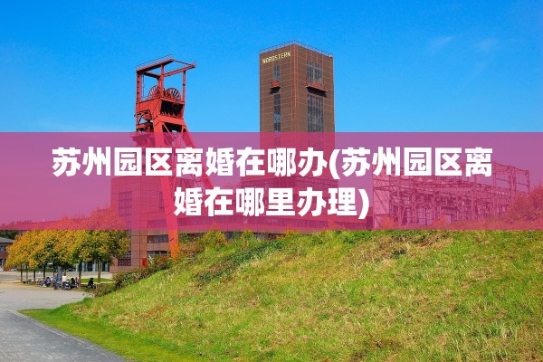 苏州园区离婚在哪办(苏州园区离婚在哪里办理)