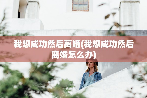 我想成功然后离婚(我想成功然后离婚怎么办)
