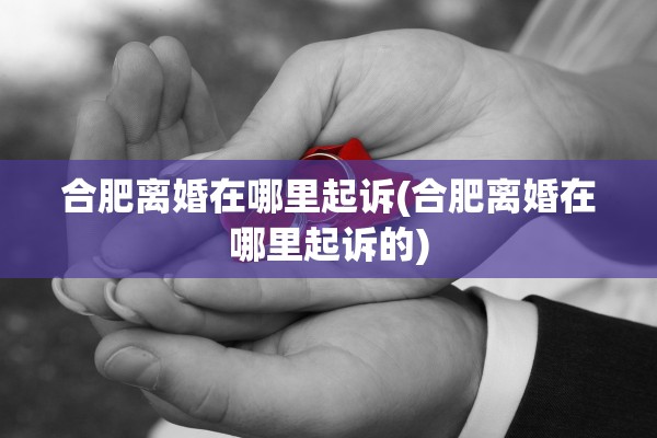 合肥离婚在哪里起诉(合肥离婚在哪里起诉的)