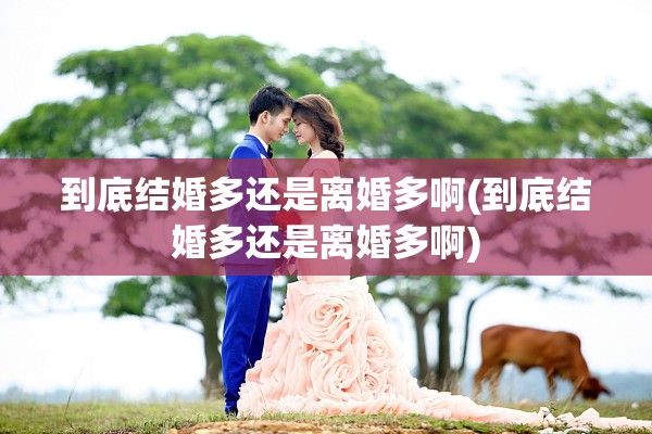 到底结婚多还是离婚多啊(到底结婚多还是离婚多啊)
