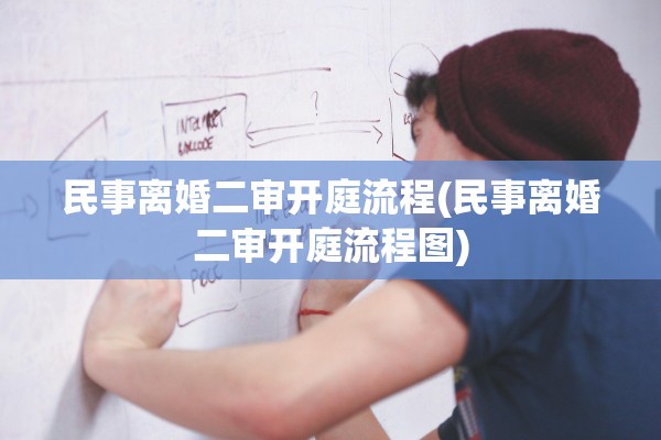 民事离婚二审开庭流程(民事离婚二审开庭流程图)