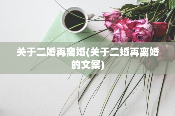 关于二婚再离婚(关于二婚再离婚的文案)