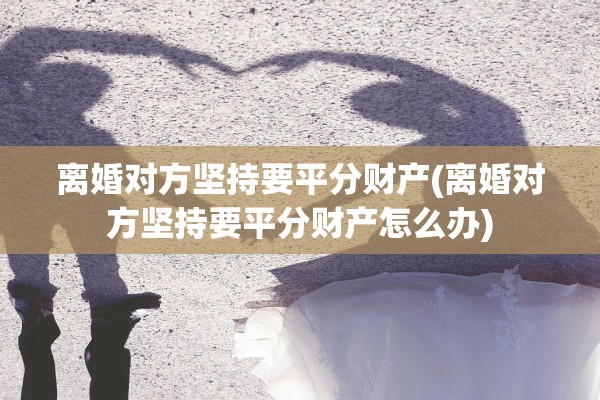 离婚对方坚持要平分财产(离婚对方坚持要平分财产怎么办)