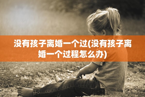没有孩子离婚一个过(没有孩子离婚一个过程怎么办)