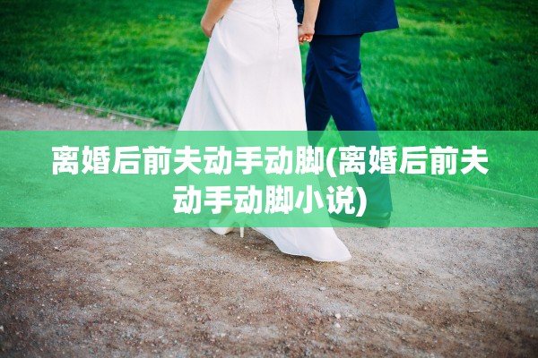 离婚后前夫动手动脚(离婚后前夫动手动脚小说)