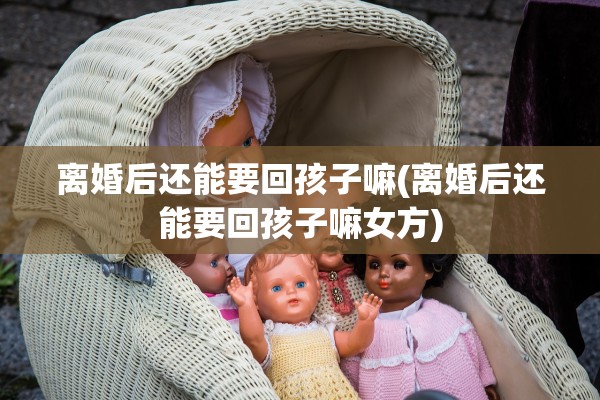 离婚后还能要回孩子嘛(离婚后还能要回孩子嘛女方)