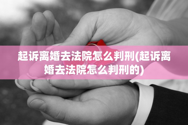 起诉离婚去法院怎么判刑(起诉离婚去法院怎么判刑的)
