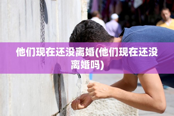 他们现在还没离婚(他们现在还没离婚吗)