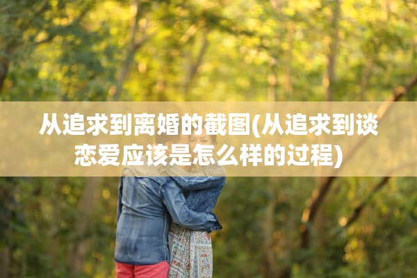 从追求到离婚的截图(从追求到谈恋爱应该是怎么样的过程)