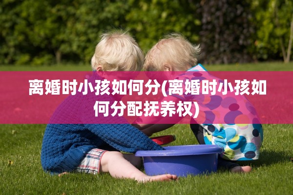 离婚时小孩如何分(离婚时小孩如何分配抚养权)