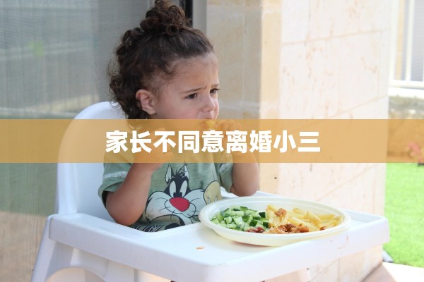 家长不同意离婚小三