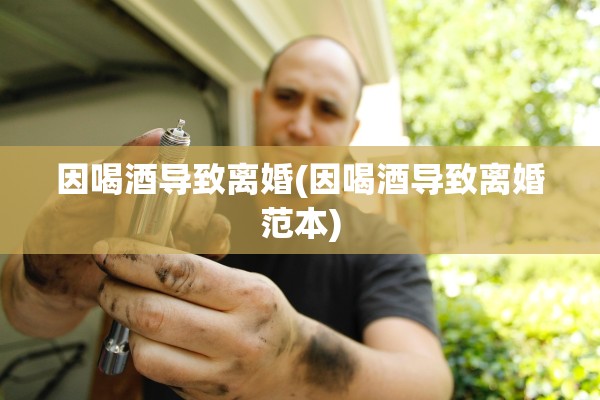 因喝酒导致离婚(因喝酒导致离婚范本)