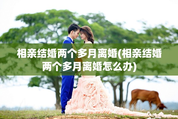 相亲结婚两个多月离婚(相亲结婚两个多月离婚怎么办)