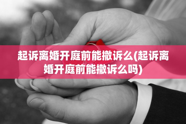 起诉离婚开庭前能撤诉么(起诉离婚开庭前能撤诉么吗)