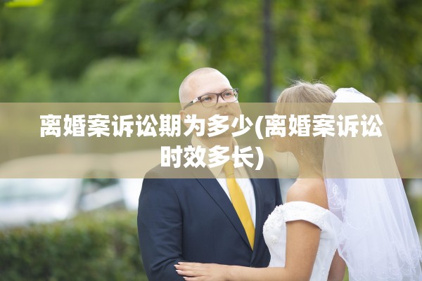 离婚案诉讼期为多少(离婚案诉讼时效多长)