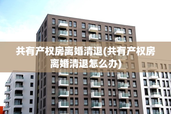 共有产权房离婚清退(共有产权房离婚清退怎么办)