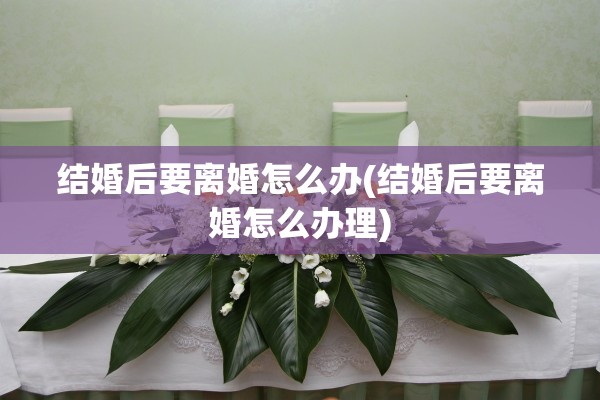 结婚后要离婚怎么办(结婚后要离婚怎么办理)