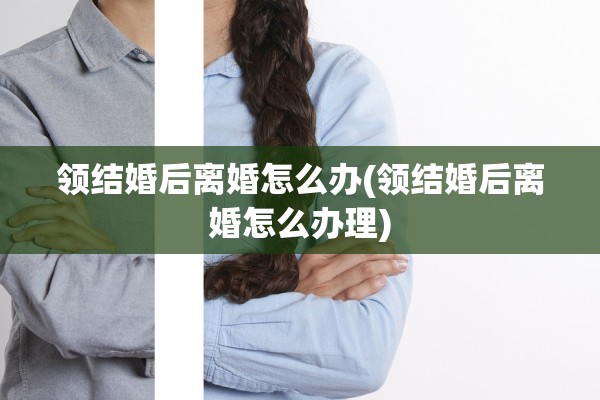 领结婚后离婚怎么办(领结婚后离婚怎么办理)