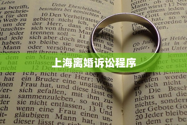 上海离婚诉讼程序