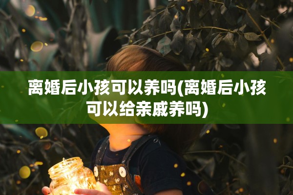 离婚后小孩可以养吗(离婚后小孩可以给亲戚养吗)
