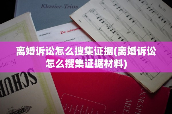 离婚诉讼怎么搜集证据(离婚诉讼怎么搜集证据材料)