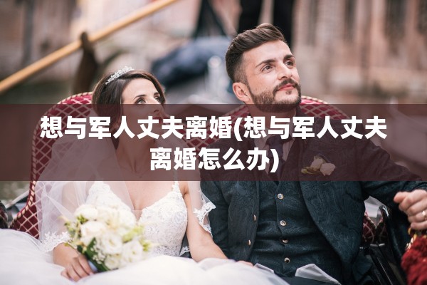 想与军人丈夫离婚(想与军人丈夫离婚怎么办)