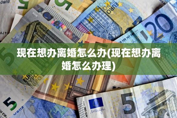 现在想办离婚怎么办(现在想办离婚怎么办理)