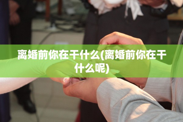离婚前你在干什么(离婚前你在干什么呢)