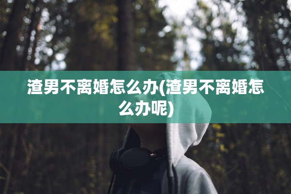 渣男不离婚怎么办(渣男不离婚怎么办呢)