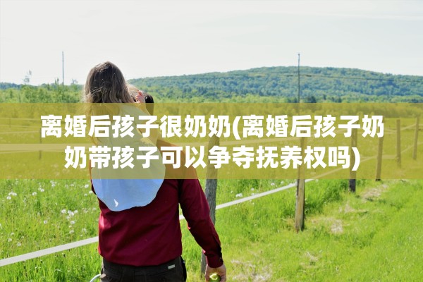 离婚后孩子很奶奶(离婚后孩子奶奶带孩子可以争夺抚养权吗)