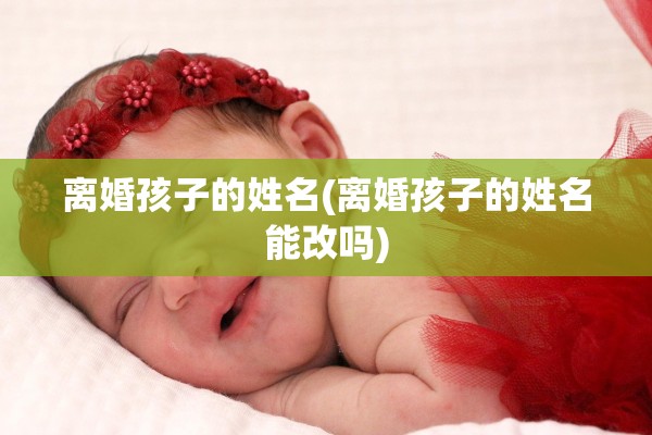 离婚孩子的姓名(离婚孩子的姓名能改吗)
