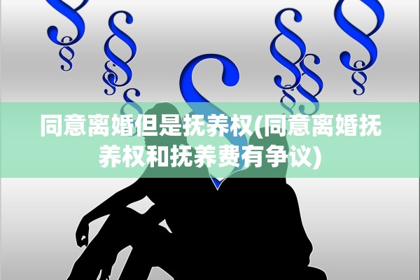 同意离婚但是抚养权(同意离婚抚养权和抚养费有争议)