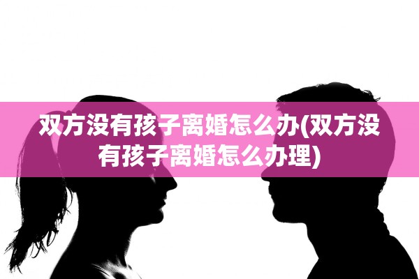 双方没有孩子离婚怎么办(双方没有孩子离婚怎么办理)