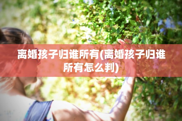 离婚孩子归谁所有(离婚孩子归谁所有怎么判)