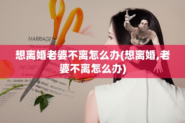 想离婚老婆不离怎么办(想离婚,老婆不离怎么办)